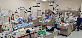 Welcome to your friendly local veterinary clinic. University Pet Clinic Cat And Dog Lovers