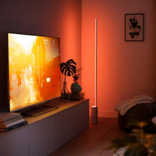 Lampadario camera matrimoniale in vendita in arredamento e casalinghi: Philips Hue Hue White And Color Ambiance Lampada Da Terra Signe Led Integrato 4080248p9 Comet