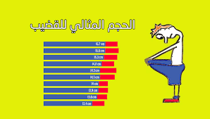 طول الذكر الطبيعي بالصور طول القضيب حسب العمر مشاعر اشتياق
