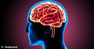 Symptoms include stiff neck, fever, and headache. Ù…Ø§Ø°Ø§ ØªØ¹Ø±Ù Ø¹Ù† Ø§Ù„ØªÙ‡Ø§Ø¨ Ø§Ù„Ø£ØºØ´ÙŠØ© Ø§Ù„Ø³Ø­Ø§Ø¦ÙŠØ©