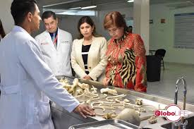 DRA LUISA REYNA ARMENTA RUIZ