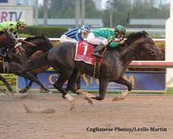 Honor Code Last To First In Gulfstream Park Handicap Paulick Report Thoroughbred Horse Racing News Thoroughbred Horse Racing Honor Code Cat Usa