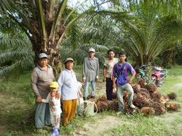 At hotel job vacancy portal, we are passionate about finding and promoting the right talent. Sustainable Palm Oil The Journey Of Keresa Plantations Solidaridad Network