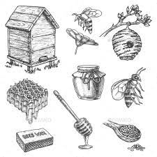 Apiary Sketch Icons, Honey Dipper, Hive, Honeycomb by cookamoto |  GraphicRiver