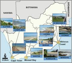 As a creator, it's easy to feel like there just aren't enough hours in the day. Utility Of Users Data And Their Support For Differential Beach Management In South Africa Springerlink