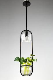Modern Black Pendant Lights Fixture Glass Lampshade Plant Decor Living Room Kitch Living Room Light Fixtures Modern Black Lighting Black Pendant Light Fixtures