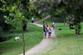 Deranjarea linistii publice de catre caini. Cum ScapÄƒ Sibiul De MurdÄƒria LÄƒsatÄƒ De Animalele De Companie Amenzi Propuse PanÄƒ La 600 De