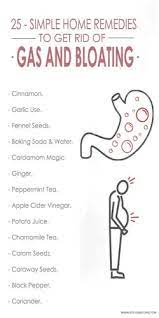 25 Amazing Home Remedies For Gas Problem | Styles At Life