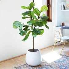 Trusted artificial floral warehouse for over 25 years. The Best Affordable Fake Plants For Your Home The Everygirl