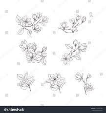 Magnolia Flower Floral Hand Drawn Design Elements Line Art Isolated On The White Background Ad Sp Flower Line Drawings How To Draw Hands Magnolia Flower