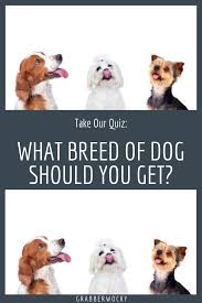 Pin On Quizzes