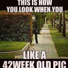 Follow me brittnayhendrix freaky quotes freaky. Insta Quotes With Memes Relationships Quotesgram