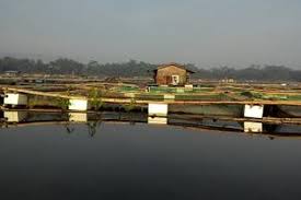 30 000 Jaring Apung Di Waduk Jatiluhur Dibongkar