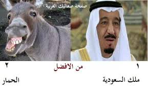 الحمار افضل من ملك السعوديه Photo Iraq Country