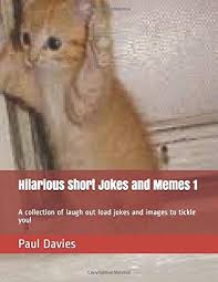You can send some of these memes as a message to the right person: Hilarious Short Jokes And Memes 1 A Collection Of Laugh Out Load Jokes And Images To Tickle You Davies Paul 9781676018957 Amazon Com Books