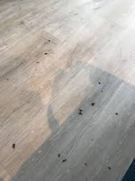 Cutaway charred carpet fibers by snipping or pulling replacement fibers from a closet corner or along the edge of a baseboard. How Do I Remove These Coal Marks From My Floor Hookah