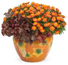 I also make note of any plants that may need larger pots, pruning, washing, relocating, or dividing. Water Your Way To Happy Plants Proven Winners