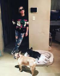 Advertisement friday, february 26, 2021 backgrid dog walking companies in hollywood have increased security and dog walkers are arming themselves after lady gaga's dog walker was shot and her beloved french bulldogs stolen. Lady Gaga Lady Gaga Photos Lady Gaga Pictures Gaga