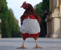Clothing For Chickens Circa 2006 Who Thinks This Is A Good Idea Chicken Wallpaper Chicken Clothes Pet Chickens
