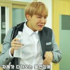He secretly enjoys it, but shhh you didn't hear that from me. Extra Extra Come And Get Jhope Jung Hoseok J Hope Amino