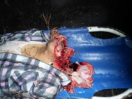 File photo of nikki catsouras. Sportininkas Algebra Apdulkina Nikki Catsouras Dead Cekirdekguc Com