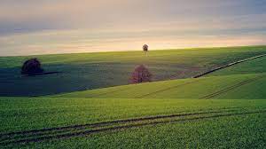 Turn Unused Land into Cash – Sell Land Easily