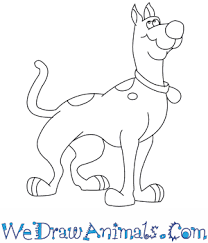 Shaggy is the cowardly, hungry character that is always by scooby doo's side when solving mysteries. How To Draw Scooby Doo