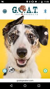 Customer 124822743 of contact privacy inc. G O A T Pet Speaker For Android Apk Download