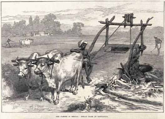 Famine in Bengal. The Indian Mode of Irrigation" says the inscription on this wood engraving from 1874. This famine started in Bihar. It soon engulfed both the region of Awadh and the