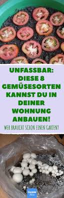 Gemuse Innen Anbauen Damit Geht Es Gemuse Anpflanzen Essbare Pflanzen Pflanzen