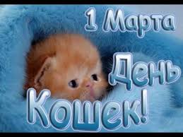Самые известные коты и кошки. S Dnem Koshek 1 Marta Den Koshek Shutochnoe Pozdravlenie Youtube