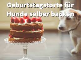 hundekuchen zum geburtstag 4