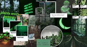 Pin By Macbook Pro Wallpaper Aestheti On Laptop Wallpaper Macbook Dark Green Wallpaper Aesthetic Wallpapers Aesthetic Desktop Wallpaper