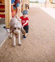 Hat Creek Burger Company Is Pet Friendly