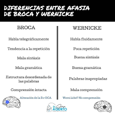 Es la afasia de wernicke, también llamada afasia receptiva o afasia de comprensión, la se cree que la parte del cerebro lesionada que es la causa de este tipo de afasia es el fascículo arqueado, un grupo de neuronas que conectan entre sí las áreas de broca y de wernicke, si bien lo más probable. Facebook