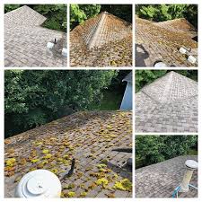 A dynamic municipality with a growing population and an ongoing commitment to building a better community for residents. Awesome Roof Cleaning In Maple Ridge Pitt Meadows 604 944 9972