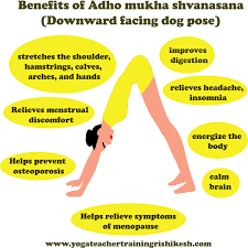 Yogaasan.com is one of the best yoga websites providing detail information about yoga asanas, various yoga poses, yoga types, articles for beginners as well as experts. What Are The Benefits Of Adho Mukha Savasana Downward Facing Dog Pose In 2020 Gym Workout For Beginners Dog Poses Surya Namaskar