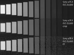 Sony A7s Ii Vs A7r Ii Test Which One Is Right For You