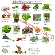 Epingle Sur Animaux