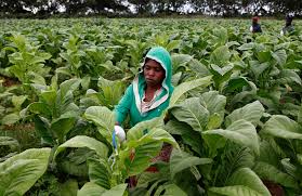 Free printable color by number boys. Inside Philip Morris Push To Subvert The Global Anti Smoking Treaty