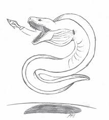 Electric Eel Illustration Sea Creatures Drawing Sea Drawing Animal Drawings Over 127 electric eel pictures to choose from, with no signup needed. electric eel illustration sea