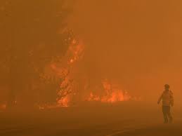 Columnas de humo descienden de uno de los más de 200 incendios que están arrasando australia. Declarado El Estado De Emergencia Por Los Incendios En El Este De Australia