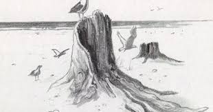 Beach Drawings Beach Drawing Draw On Photos Drawings