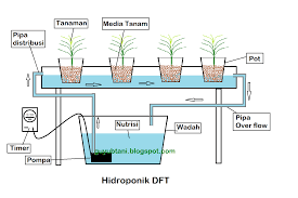 Pengertian Hidroponik Nft Dan Dft