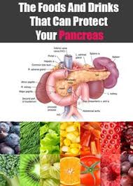 27 Best Pancreas Health Images Pancreas Health Health