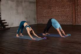 Adho Mukha Svanasana Downward Dog L Mukha Yoga