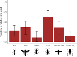 Image result for Crotonogynopsis australis