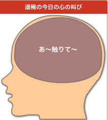 X \ 遥稀 على X: 