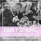 Early Spring Tasting Experience — Old Vines Restaurant Group