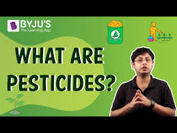 This page is about the various possible meanings of the acronym, abbreviation, shorthand or couldn't find the full form or full meaning of pest? Pesticides Definition Types Uses And Harmful Effects